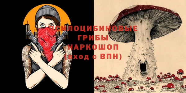 сатива Михайловск