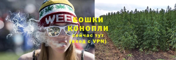 сатива Михайловск