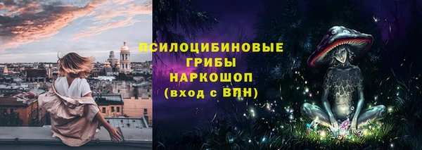 сатива Михайловск
