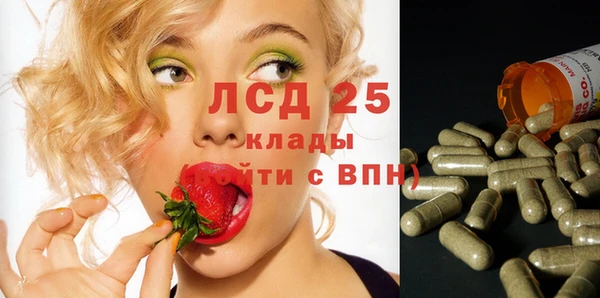 spice Бабаево