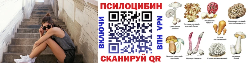 Галлюциногенные грибы мицелий  Приморско-Ахтарск 