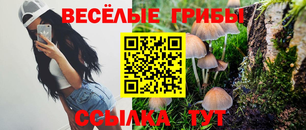 Приморско-Ахтарск  Псилоцибиновые грибы Psilocybine cubensis  где купить наркоту  Вход с VPN 