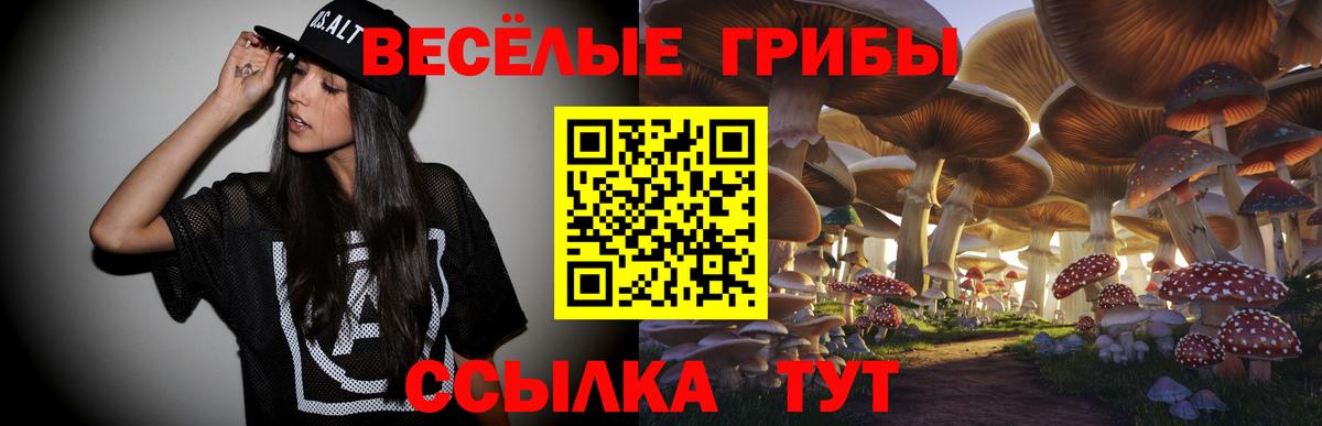 Псилоцибиновые грибы прущие грибы Приморско-Ахтарск